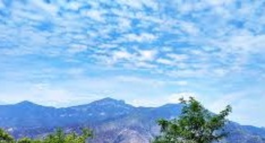 行业洞察 - 17c免费官方网站入口 - 看透行业本质的专业分析中心